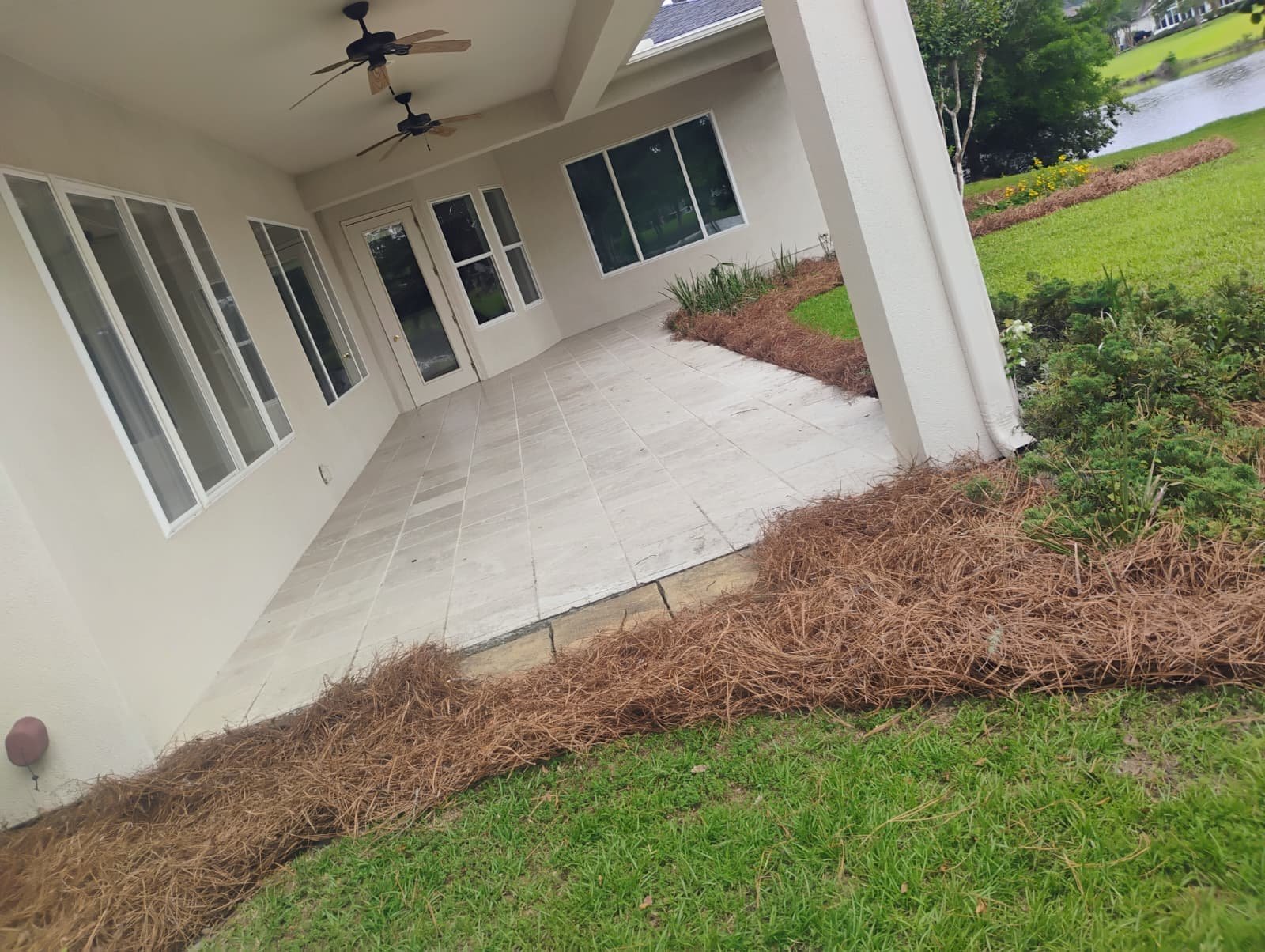 Clean landscape bed with ground cover